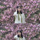 K씨의 꿈 | [Apr] 꿈을 꾸고 있나요 아니면 접고있나요 난 계속 꿈을 꿔요