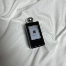 진저로지스 이미지