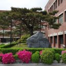 대전과학기술대학교 이미지