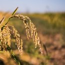 동영슈퍼 이미지