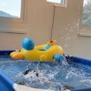 BUBBLE ZONE(버블존) 이미지