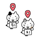 피에스아포티