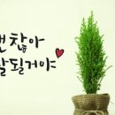 강한수학교습소 이미지