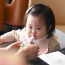 [포포인츠 바이 쉐라톤 수원 돌잔치 돌스냅] 인원정보 (연아맘스냅 & 아일린스파티 & 캐서린권)