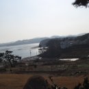 솜니움트리 이미지