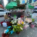 홍대입구역 8번 출구 앞 | 마포 홍대입구역 8번 출구 앞 저렴한 꽃집 가게 내돈내산 후기