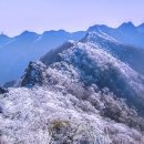 계룡산 티스토리