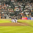 무적게임방 | 240713 직관후기 ㅣ LG트윈스 vs 한화이글스 이글스파크 3루 외야불펜지정석 322블록 C열 시야 · 농심...