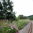 하동레일파크 이미지