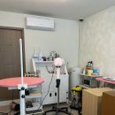 펫피르그루밍 네이버블로그