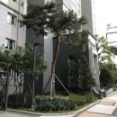 플레이 스퀘어 한신 | 청량리재개발 영향권 답십리힐스테이트 청계 임장후기
