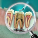 반석치과의원 이미지