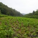 양옥마을회관 이미지