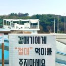 인천 영흥도 글램핑 글램하이 내돈내즐 후기