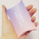 170210 | 170210 세븐틴 팬미팅 캐럿랜드 짧은 후기