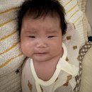 원더웍스 - 용인시 수지구 풍덕천로139번길 16-5 | 신생아 원더웍스 언제 오나? 시기별 변화 실제 후기