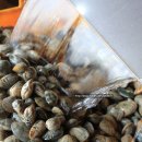 하전농장 이미지