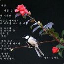 백향 이미지