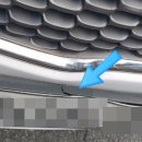 메이플 스토리 애견샵 | 2020년1월 일상