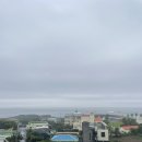 팔공산올레길 5코스 | 초보 올레꾼의 제주 올레길 5코스 후기🌿(올레패스/길풍경/먹거리/난이도)