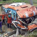 삼동면 전도3 이미지