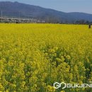 황산공원 미니기차 이미지