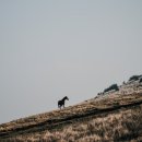 바리메오름 이미지