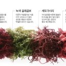 씨그린주식회사 이미지