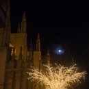 시청앞 미관광장 | 🎄 [세비야 2주] ⑧ 세비야 무료 밤 공연! 시청 앞 광장 크리스마스 매핑 쇼 후기