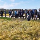 옹진군농업기술센터 이미지