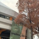 (주)디즈콘 네이버블로그