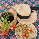 이은희 농장 이미지