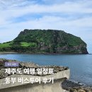 동부 | 제주도 여행 일정표 동부 버스투어 뚜벅이 후기