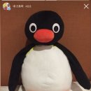해룡세탁소 네이버블로그