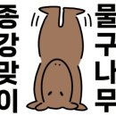 장수돈까스 이미지