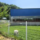 평창 게스트하우스 이미지