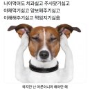 복 이미지
