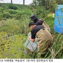 버들수산
