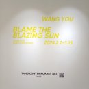 【전시|청담】 왕유|Blame the Blazing Sun|탕 컨템포러리 아트