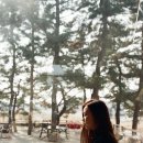 소연필름