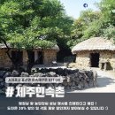 안덕면 풍물놀이 이미지