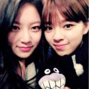 정연푸드 이미지