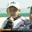 제1회 계룡시배 전국 여자야구 대회 - SBS뉴스 (동영상 업뎃) 이미지