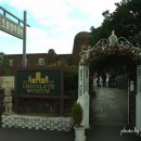 초콜릿박물관 이미지