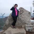 갑령