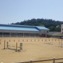 대전복용초등학교 이미지