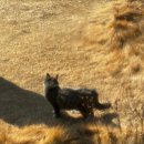 구례읍 북문 | 구례 Gurye