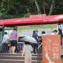 교동면 인사리 평화나들길 | 강화가볼만한곳 '교동도 화개정원' 여름엔 비추_250830