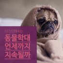 아이펫 동물병원 이미지