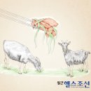 조선흑염소 이미지